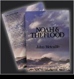 Noah & the Flood by John Metcalfe